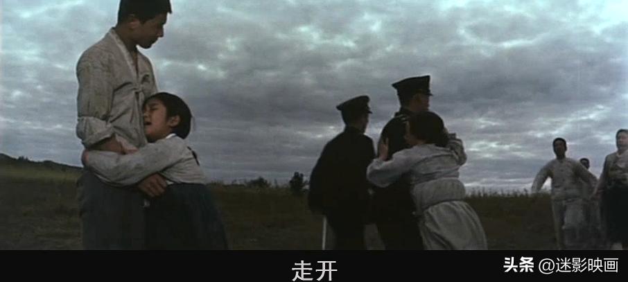 双喜（软如意好日子）价格表查询
