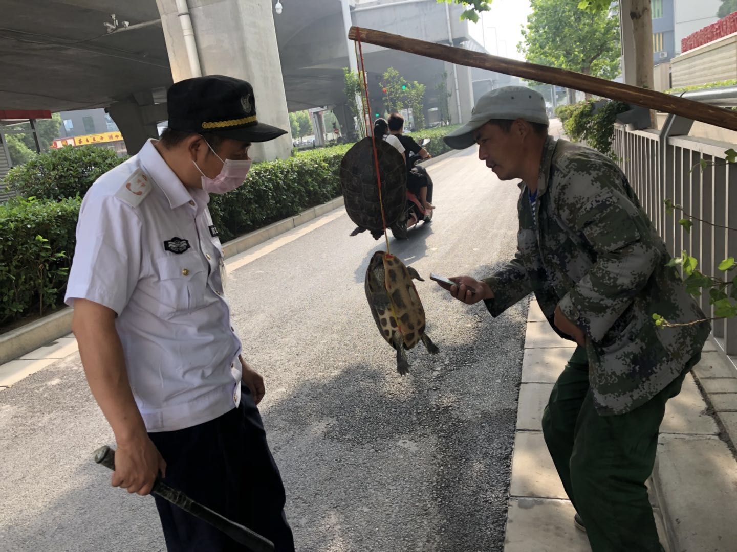 南京（金砂）如何辨别真假