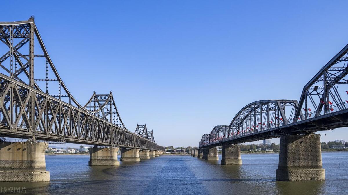 红杉树（木）全系列及价格