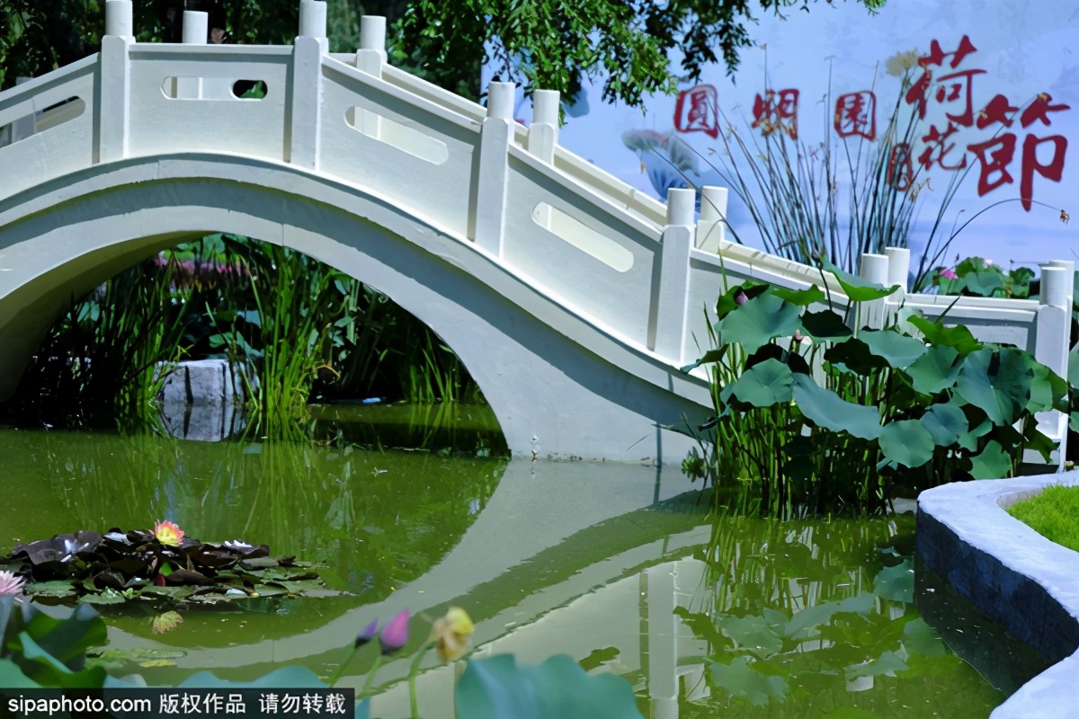 融媒体!香烟批发如何做好“梦撒撩丁”