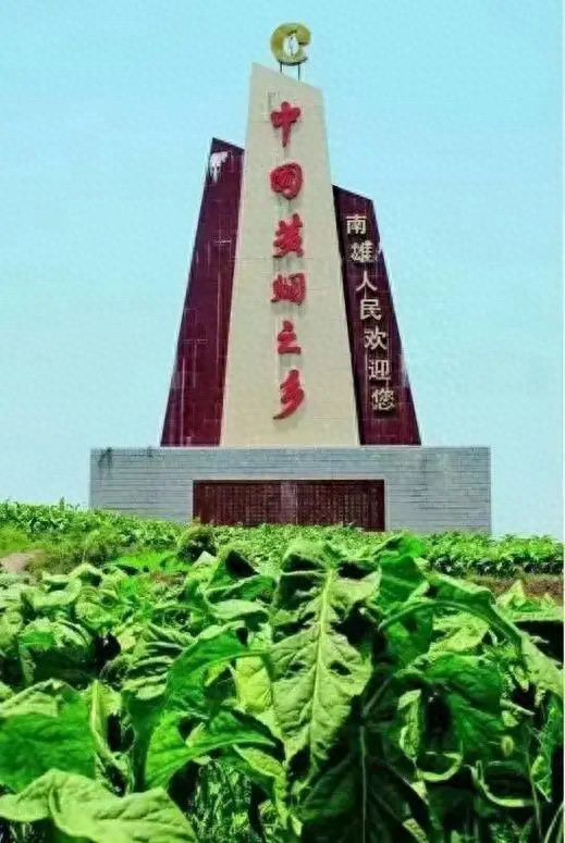 南京（大观园）批发多少钱一条