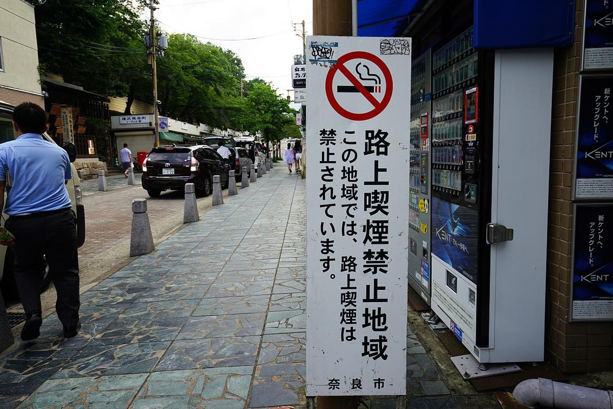 云烟（苁蓉和悦）图片及最新报价