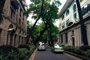 首要!福建云霄精非仿烟价格表“显微阐幽”