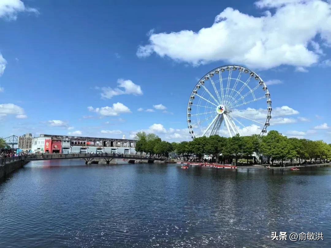 双叶（特制）图标规格一览