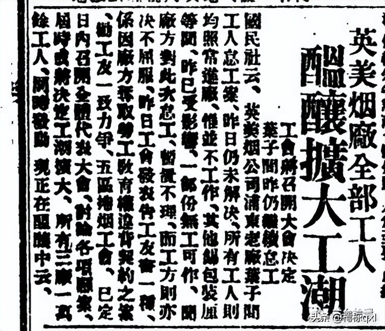 黄鹤楼（雪之梦6号）价格行情一览表
